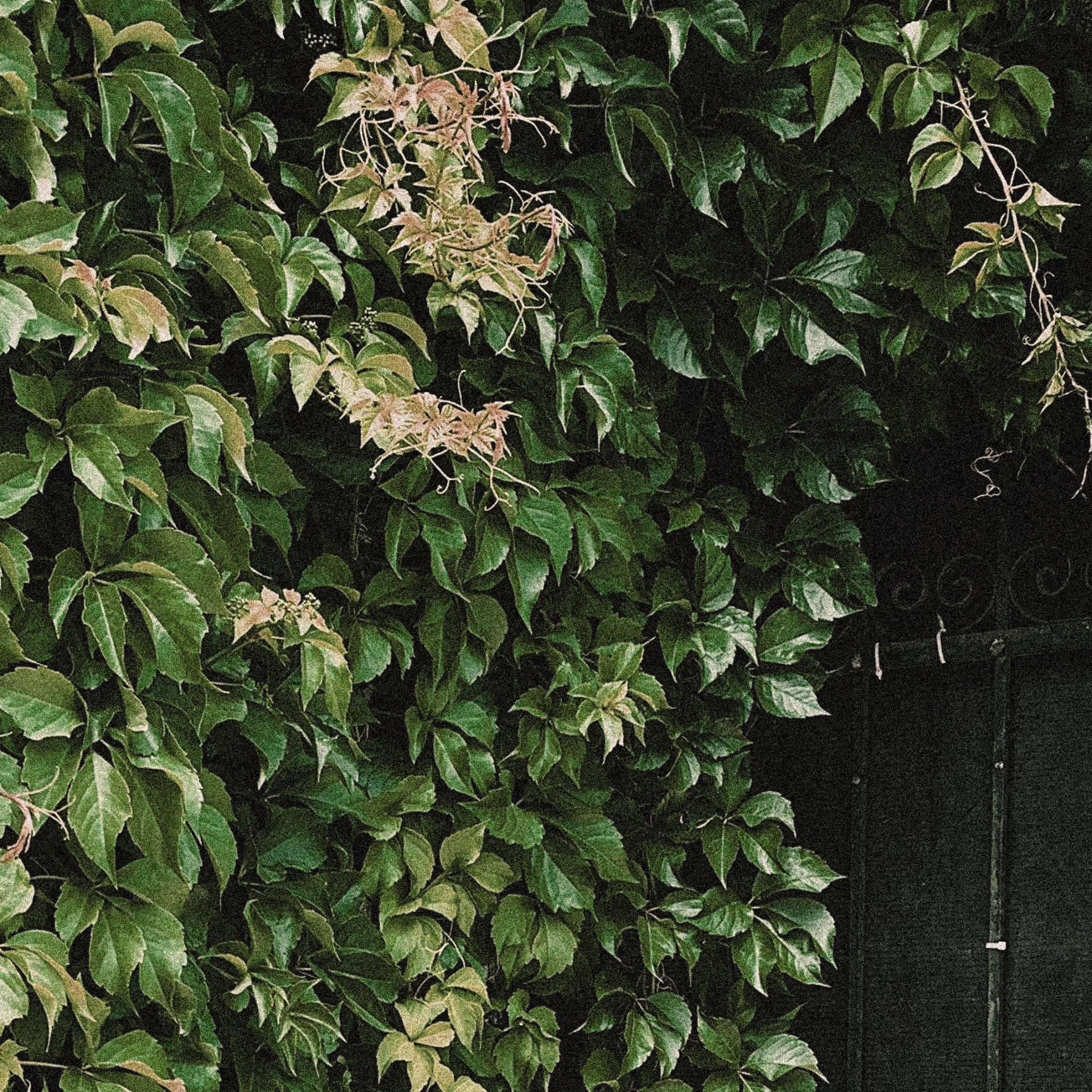 Arquitectura de bajo impacto en emisiones y alto impacto en confort y vida sana.